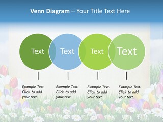 Natural Summer Flower PowerPoint Template