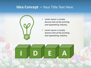 Natural Summer Flower PowerPoint Template