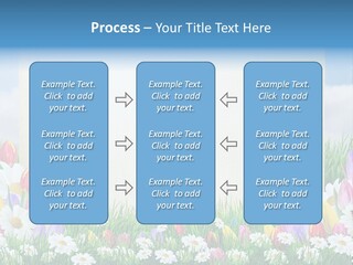 Natural Summer Flower PowerPoint Template