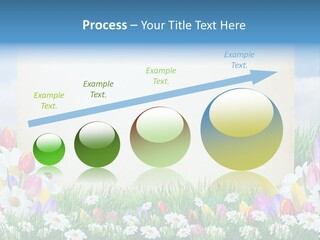 Natural Summer Flower PowerPoint Template