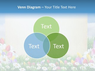 Natural Summer Flower PowerPoint Template