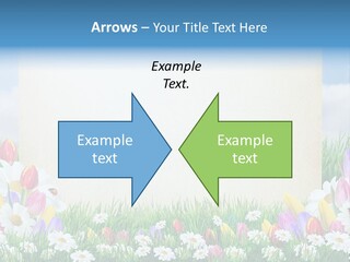 Natural Summer Flower PowerPoint Template