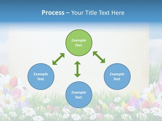 Natural Summer Flower PowerPoint Template