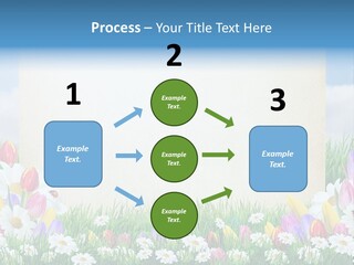 Natural Summer Flower PowerPoint Template