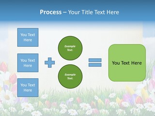 Natural Summer Flower PowerPoint Template