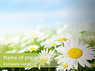 Green Bright Farm PowerPoint Template