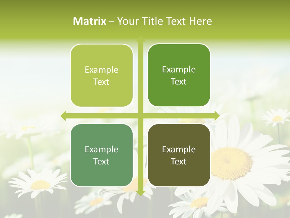 Green Bright Farm PowerPoint Template