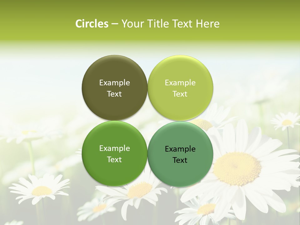 Green Bright Farm PowerPoint Template