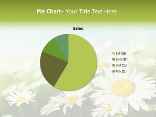 Green Bright Farm PowerPoint Template