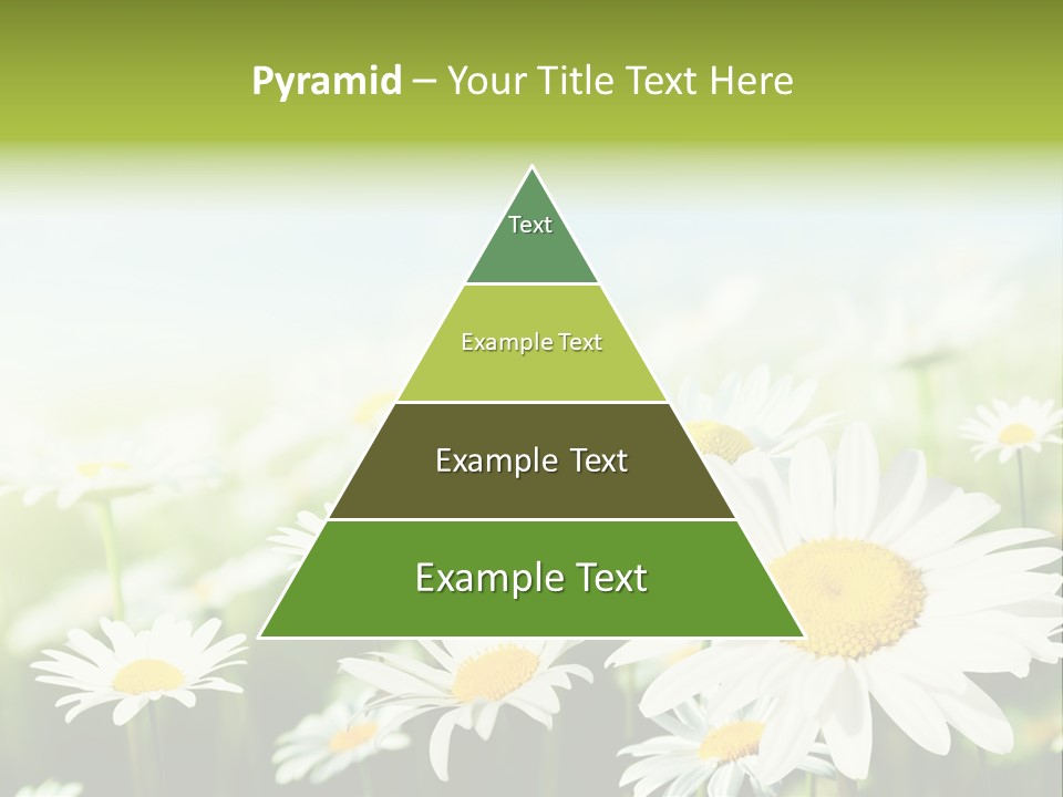 Green Bright Farm PowerPoint Template