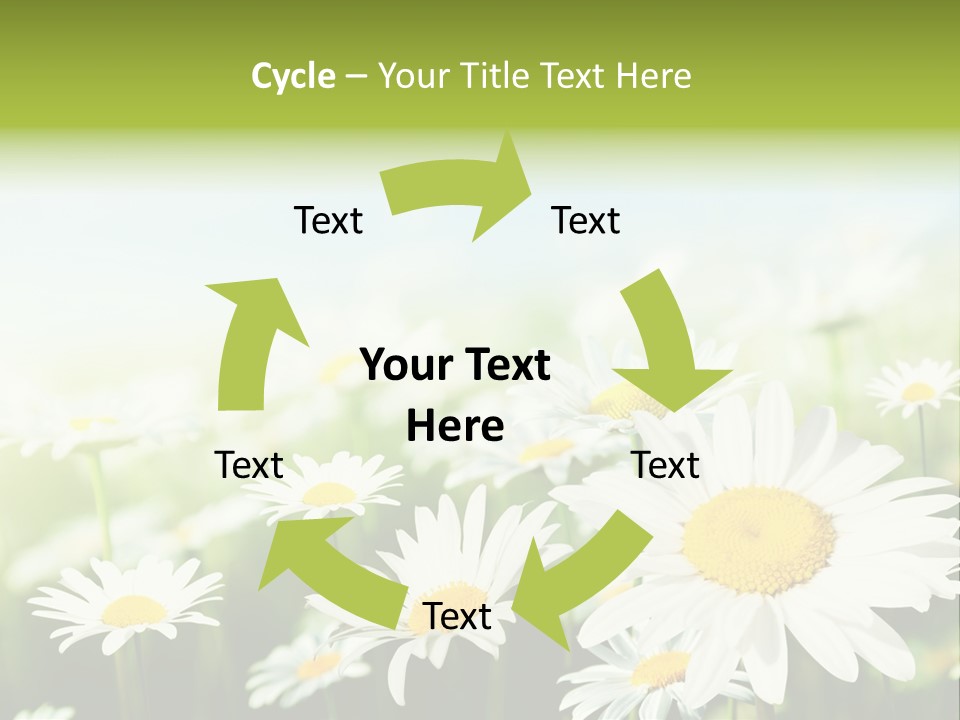 Green Bright Farm PowerPoint Template