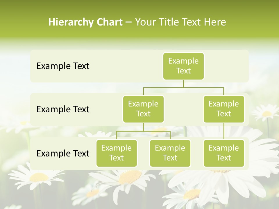 Green Bright Farm PowerPoint Template