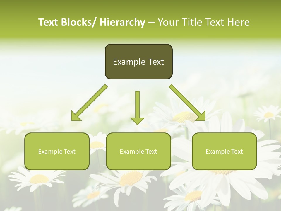 Green Bright Farm PowerPoint Template