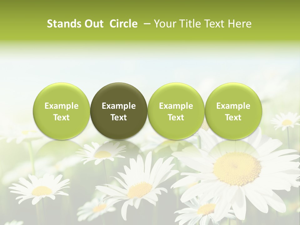 Green Bright Farm PowerPoint Template