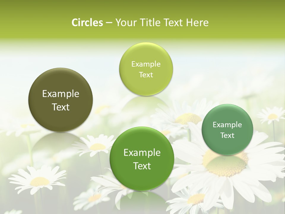 Green Bright Farm PowerPoint Template