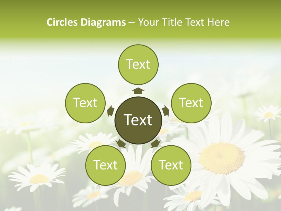 Green Bright Farm PowerPoint Template