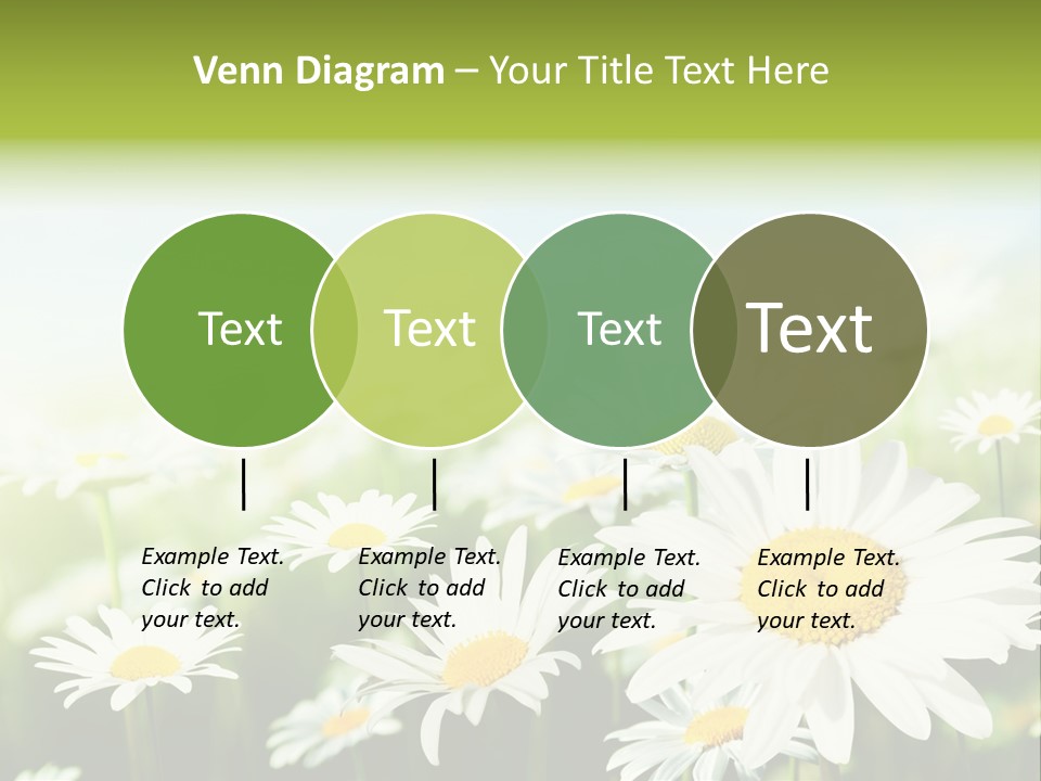 Green Bright Farm PowerPoint Template