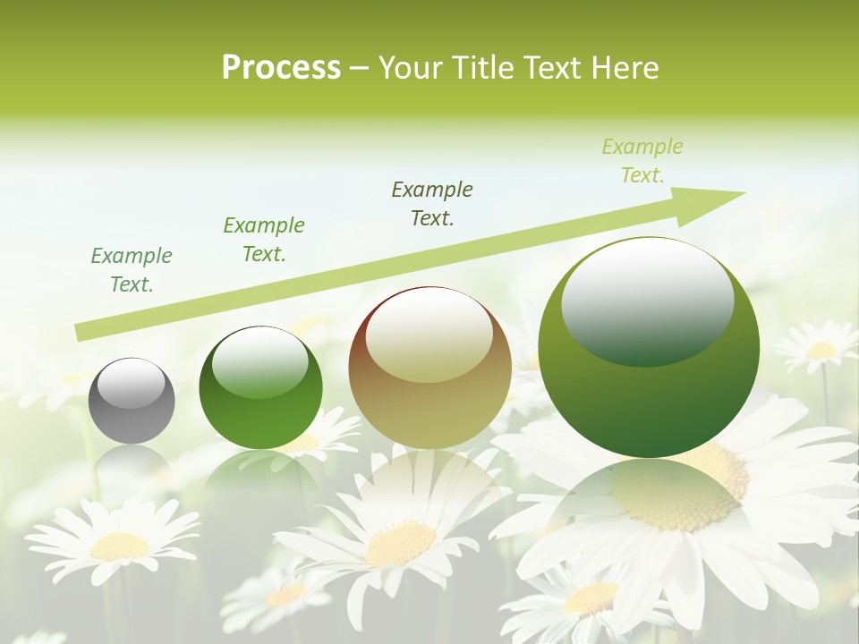 Green Bright Farm PowerPoint Template