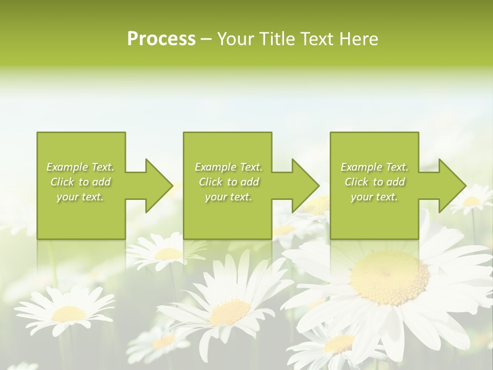 Green Bright Farm PowerPoint Template