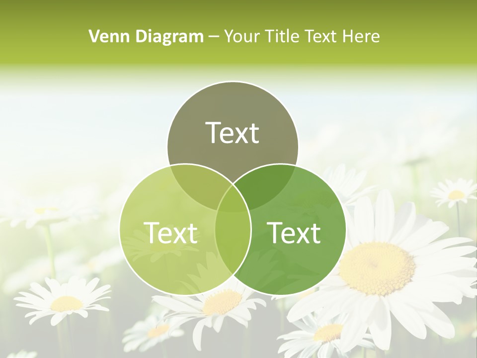Green Bright Farm PowerPoint Template