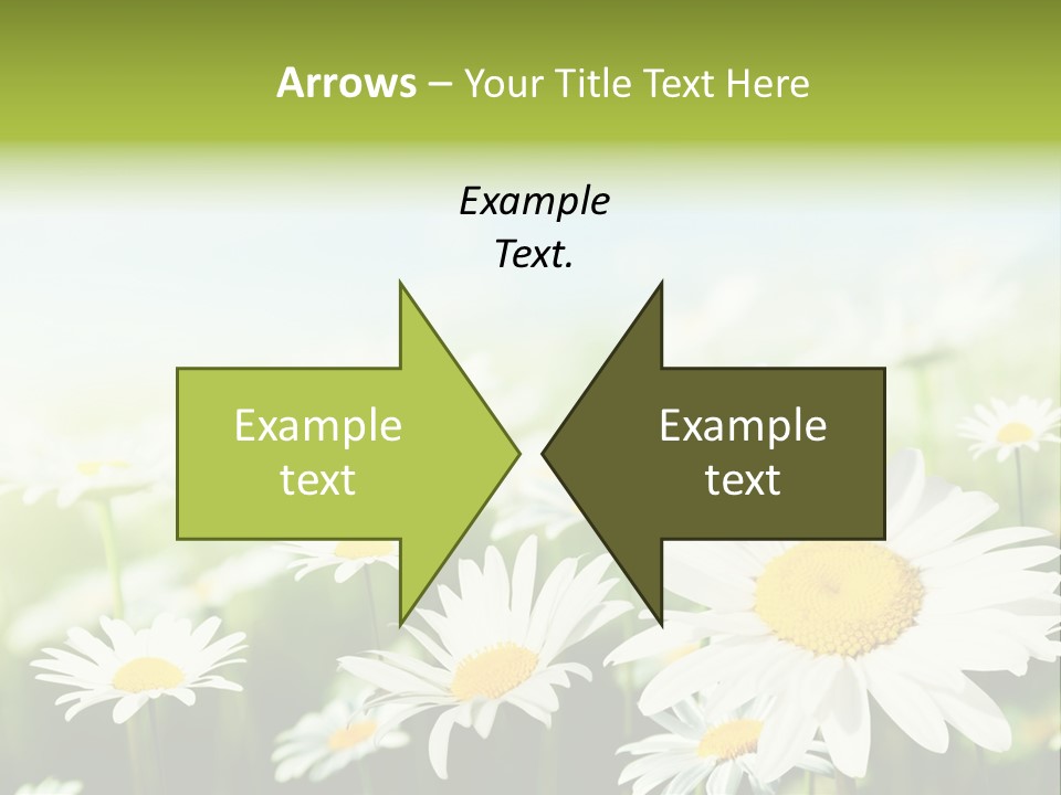 Green Bright Farm PowerPoint Template