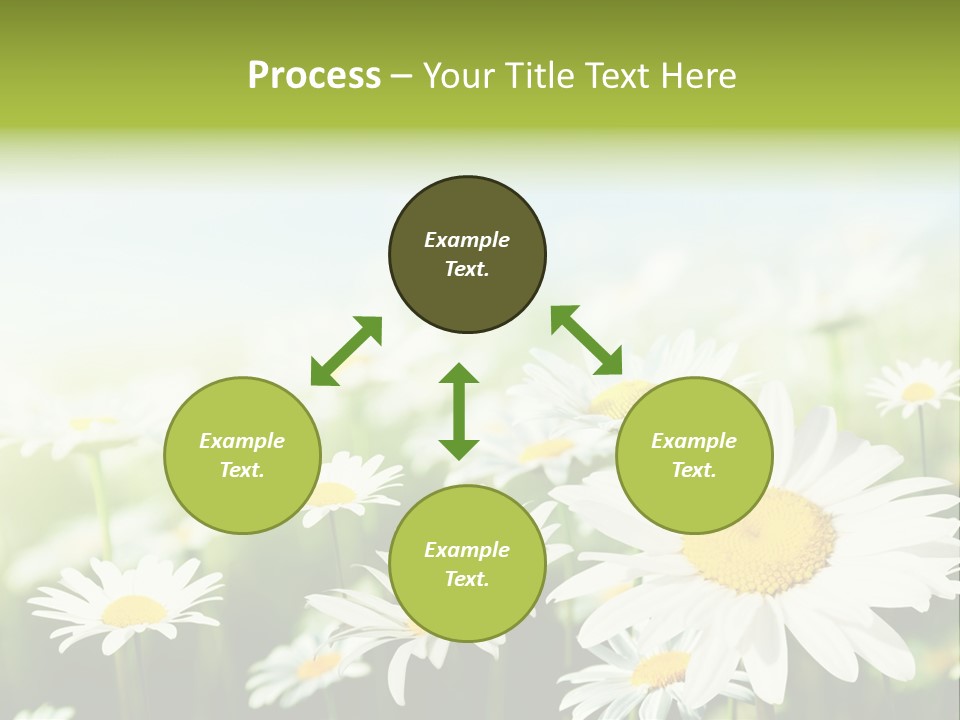 Green Bright Farm PowerPoint Template