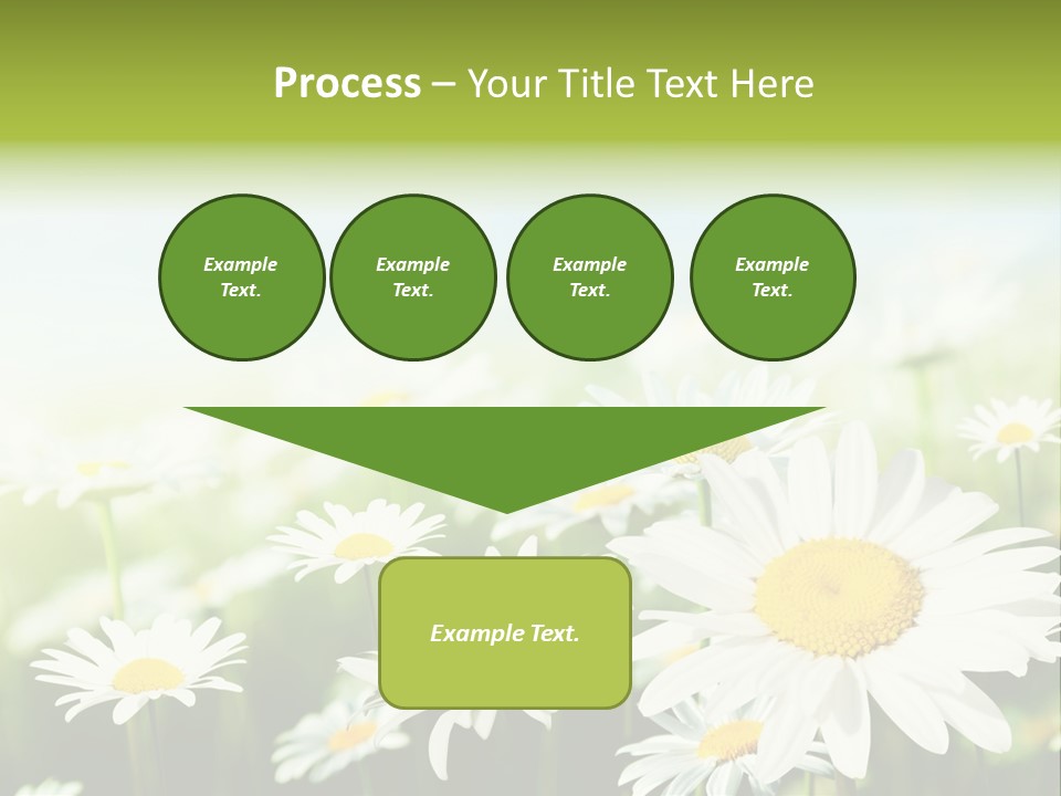 Green Bright Farm PowerPoint Template