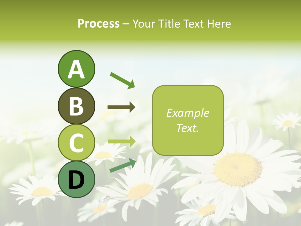 Green Bright Farm PowerPoint Template
