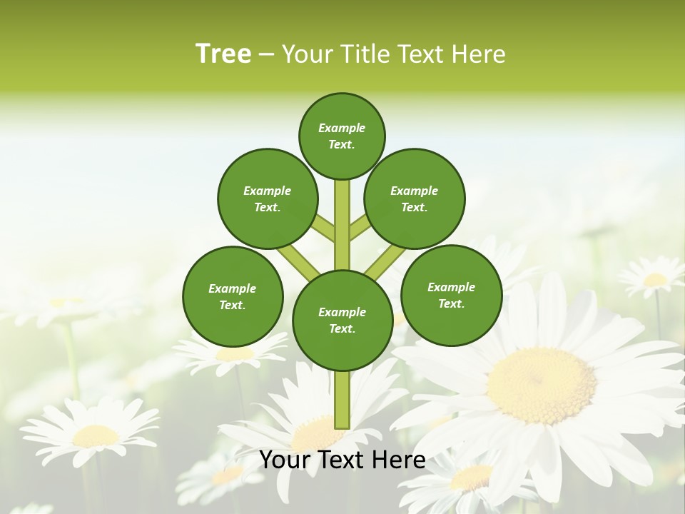 Green Bright Farm PowerPoint Template