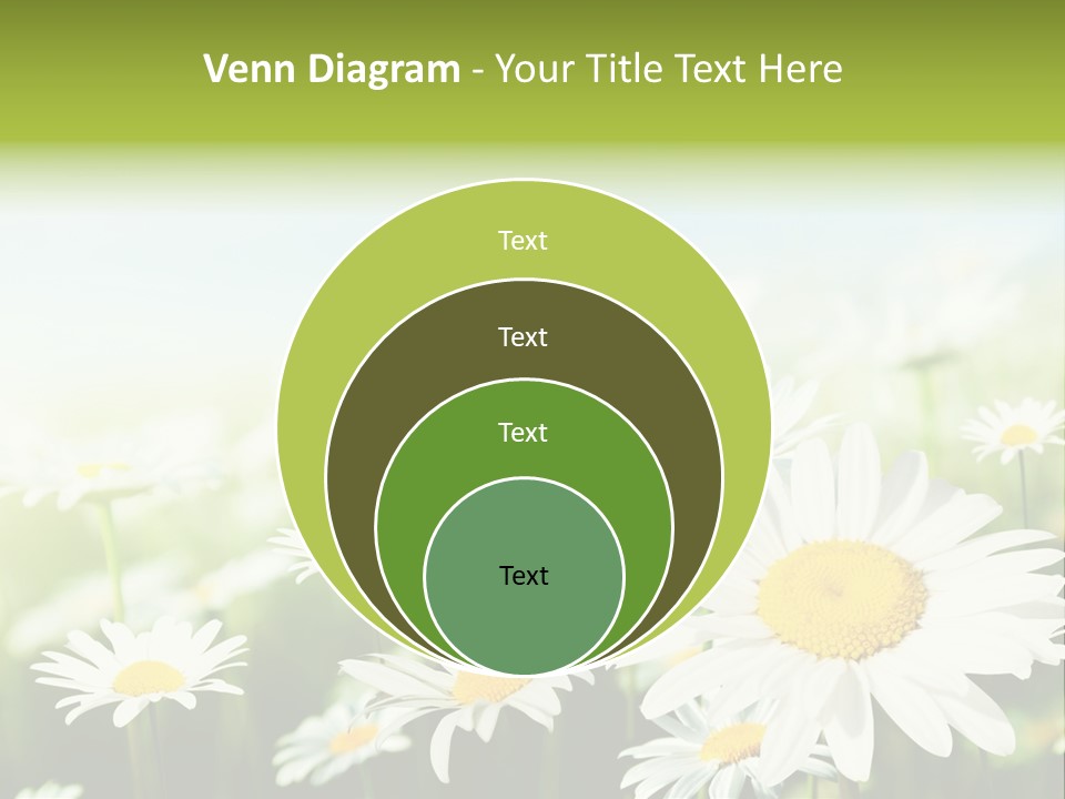 Green Bright Farm PowerPoint Template