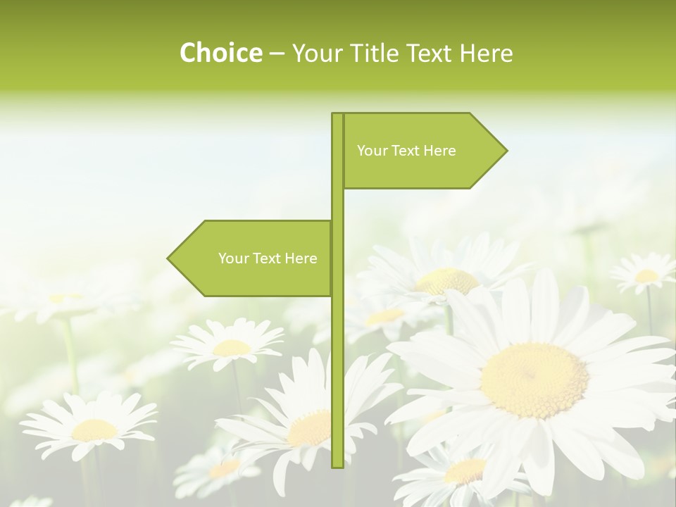 Green Bright Farm PowerPoint Template