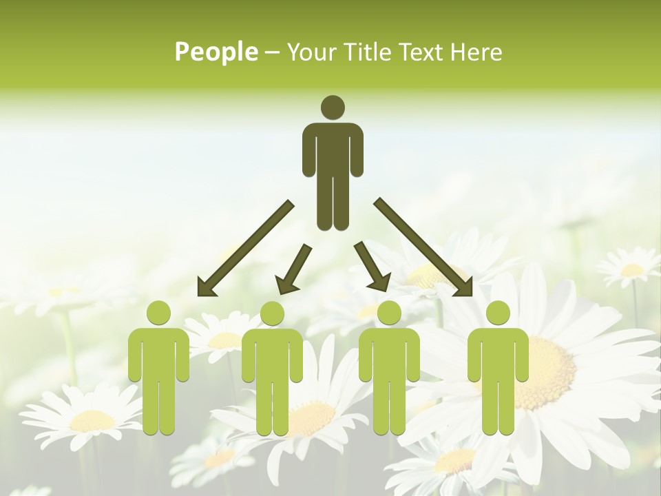 Green Bright Farm PowerPoint Template