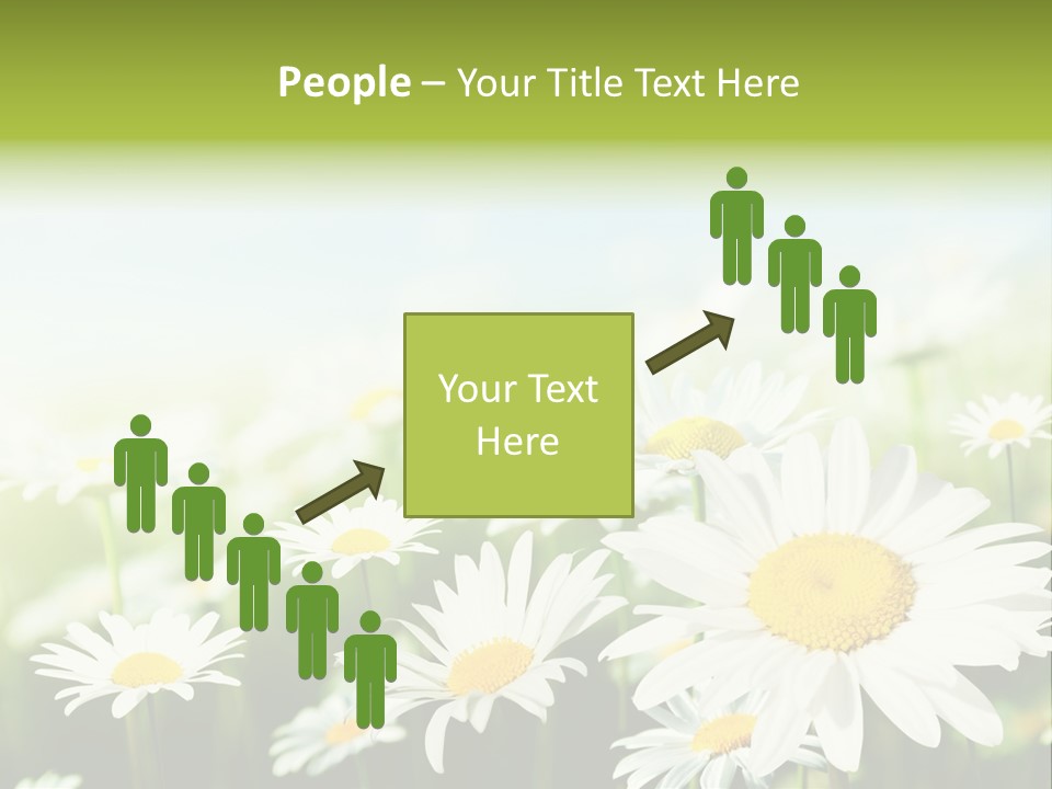 Green Bright Farm PowerPoint Template