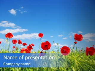 Botany Landscape Plants PowerPoint Template