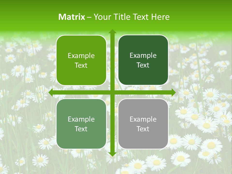 Bright Rural Outdoor PowerPoint Template