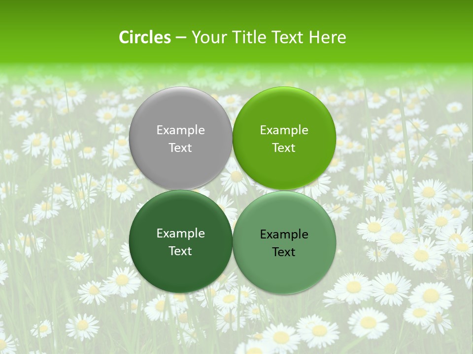Bright Rural Outdoor PowerPoint Template