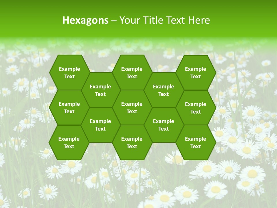 Bright Rural Outdoor PowerPoint Template