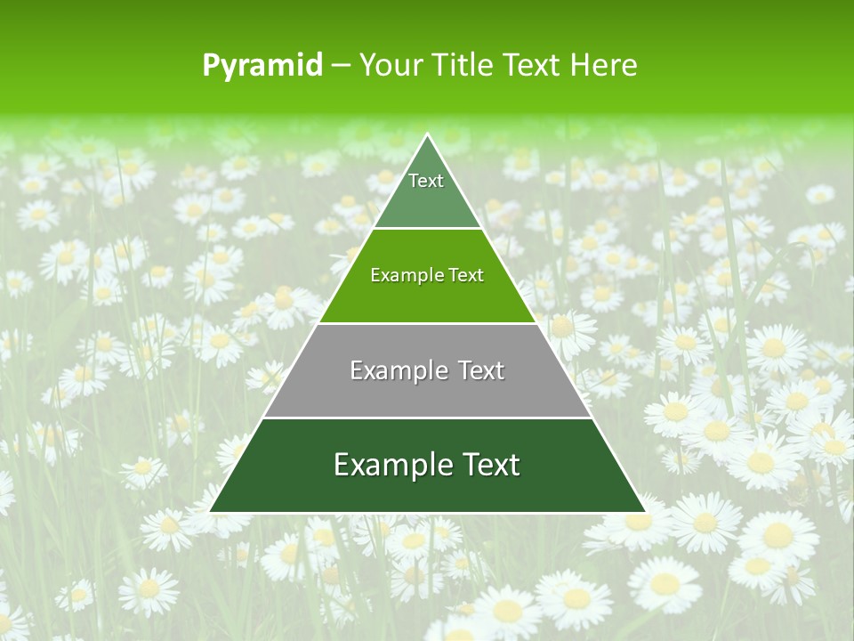 Bright Rural Outdoor PowerPoint Template