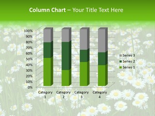 Bright Rural Outdoor PowerPoint Template