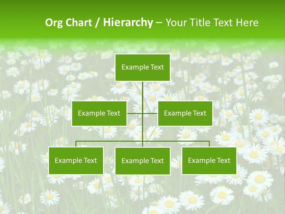Bright Rural Outdoor PowerPoint Template