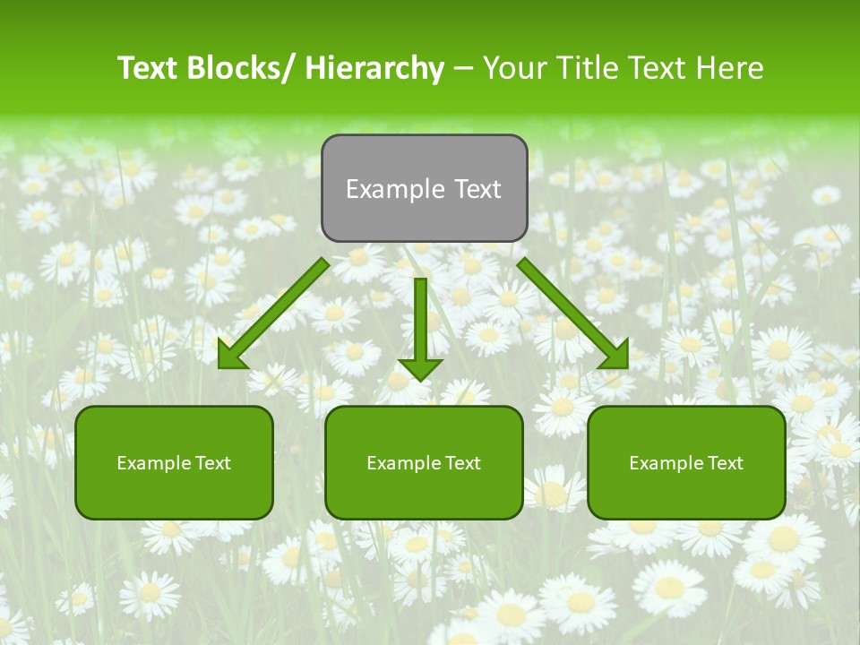 Bright Rural Outdoor PowerPoint Template