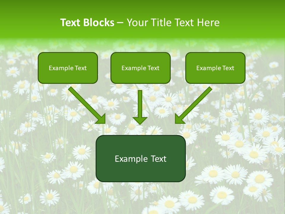 Bright Rural Outdoor PowerPoint Template