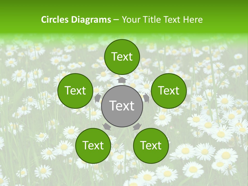 Bright Rural Outdoor PowerPoint Template