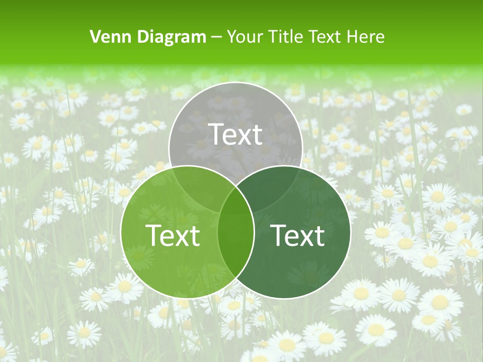 Bright Rural Outdoor PowerPoint Template