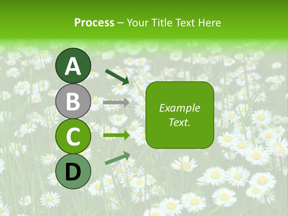 Bright Rural Outdoor PowerPoint Template
