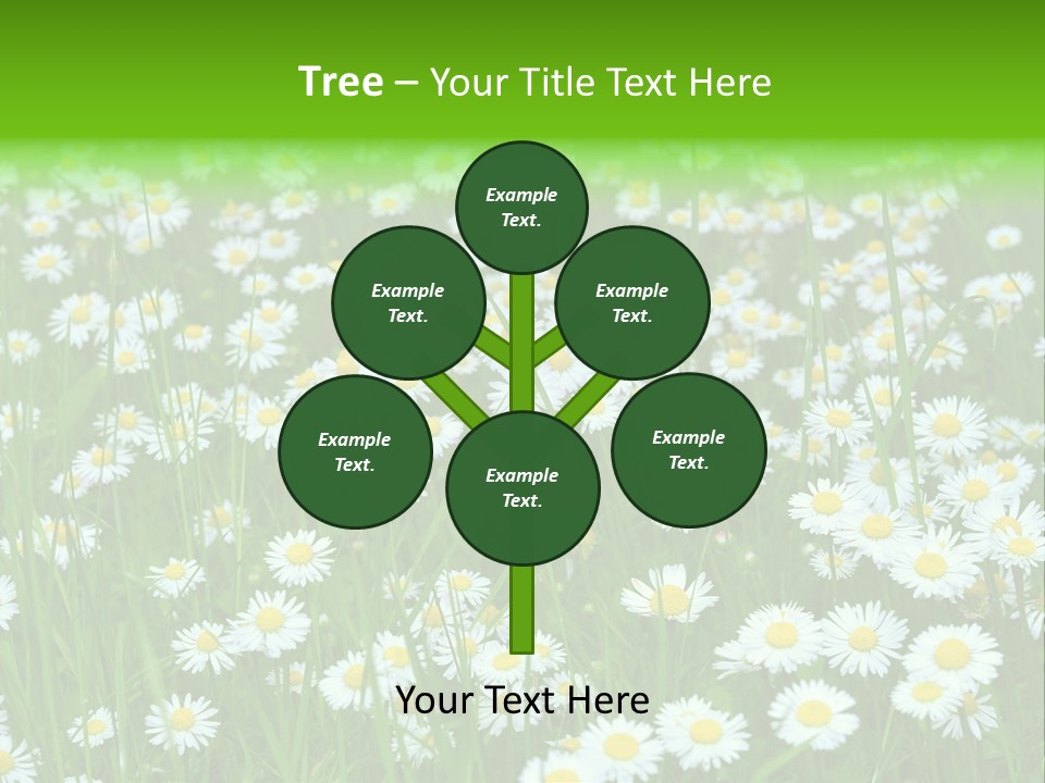 Bright Rural Outdoor PowerPoint Template