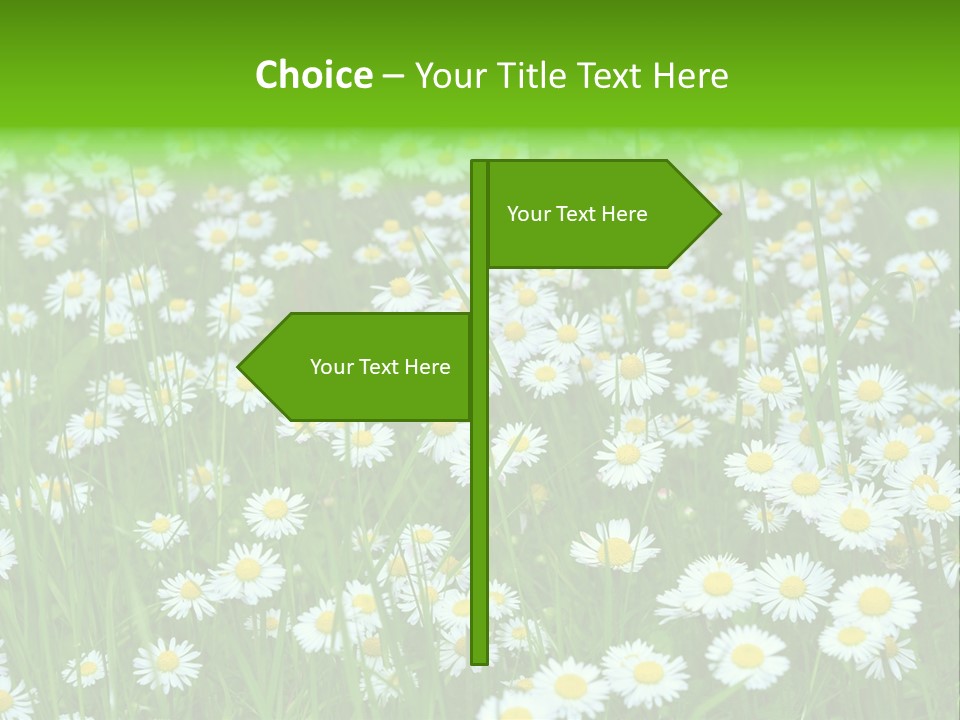 Bright Rural Outdoor PowerPoint Template
