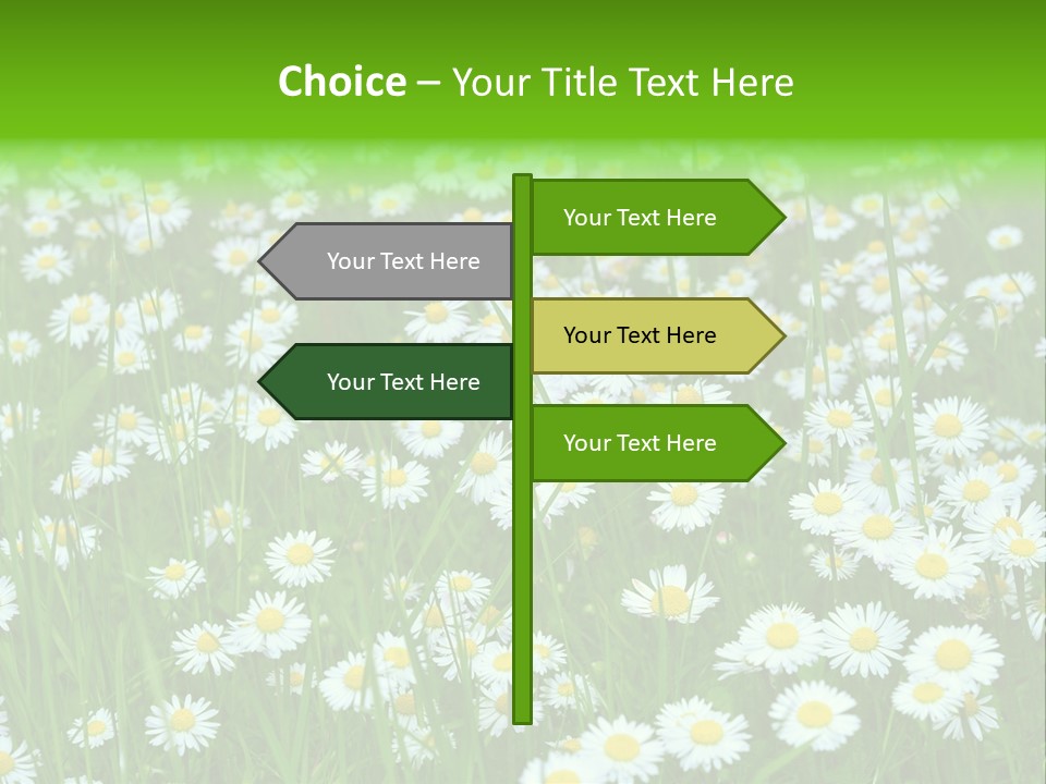 Bright Rural Outdoor PowerPoint Template