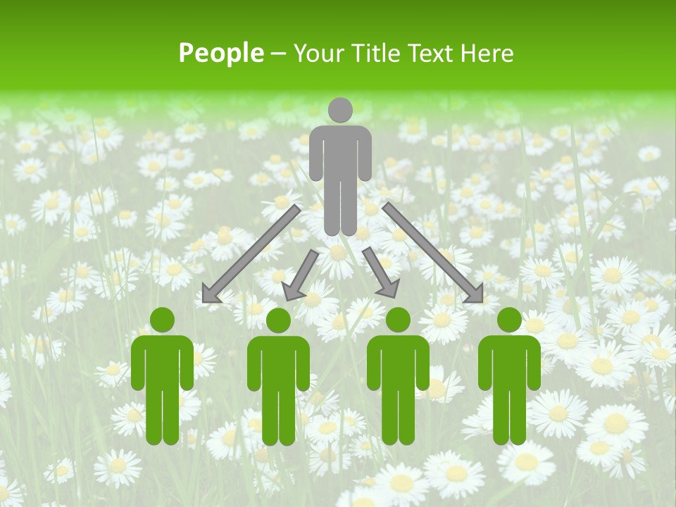 Bright Rural Outdoor PowerPoint Template