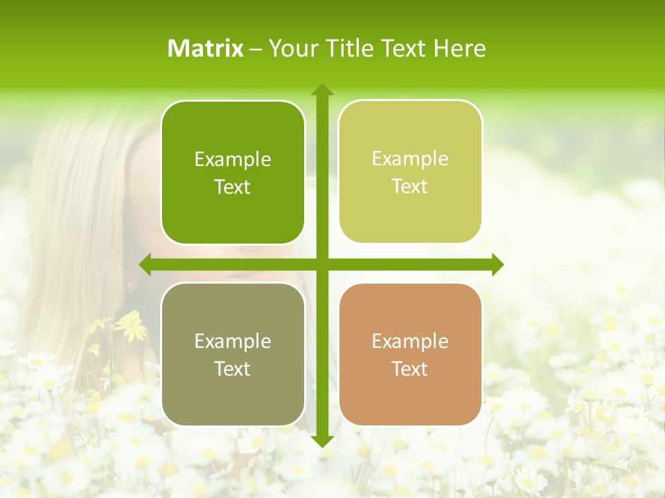 Beautiful Garden Chamomile PowerPoint Template